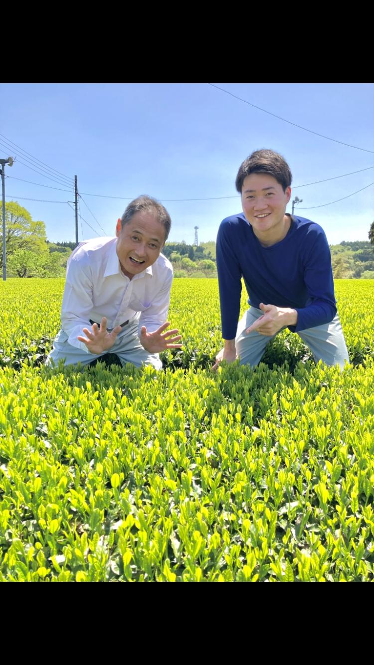 ハートのほうじ茶（土山一晩ほうじ）