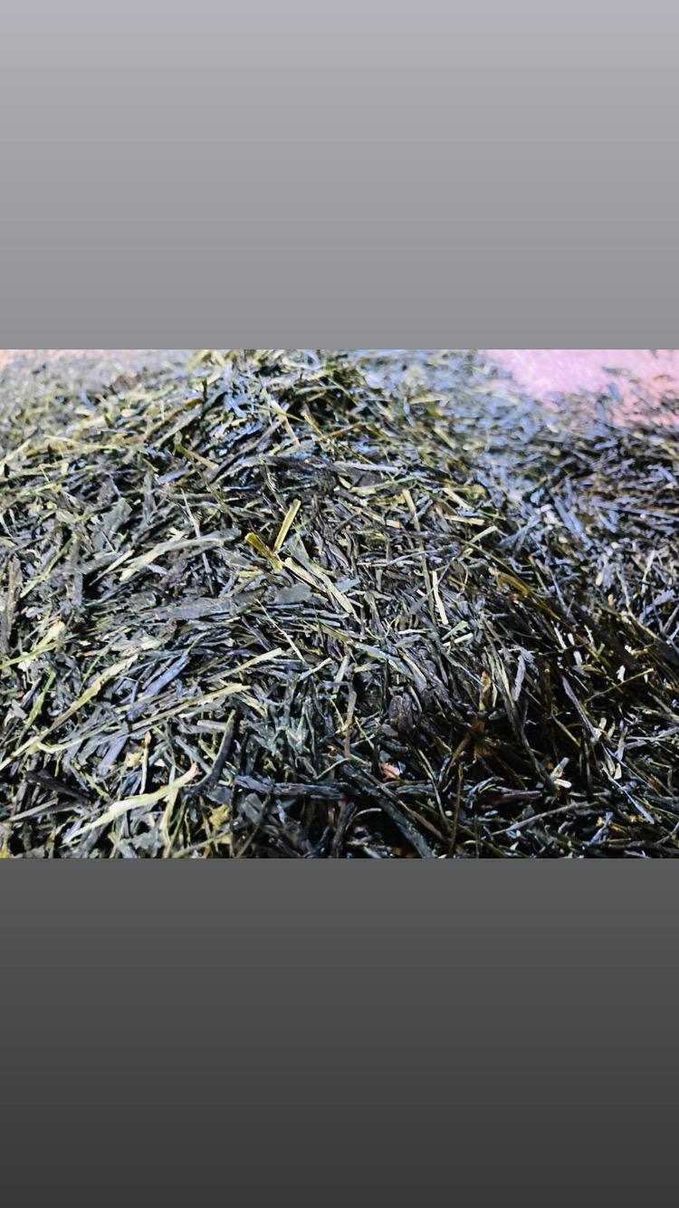 煎茶　家の裏　50ｇ