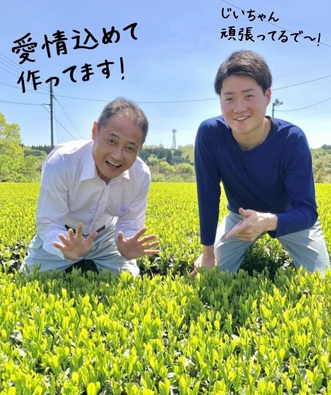 煎茶　家の裏　50ｇ