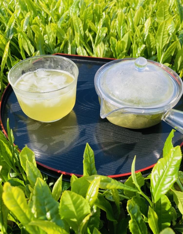 生新茶　100ｇ　【予約受付中】
