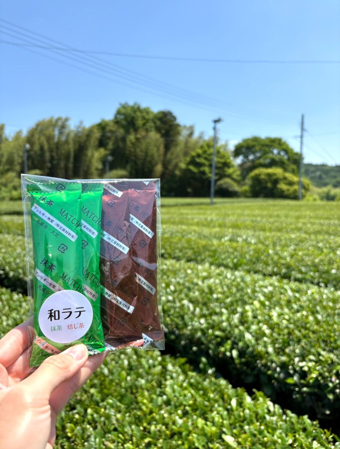 泡立つラテセット　[抹茶2本・ほうじ茶2本]