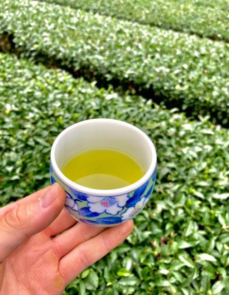 秋摘み茶　400ｇ