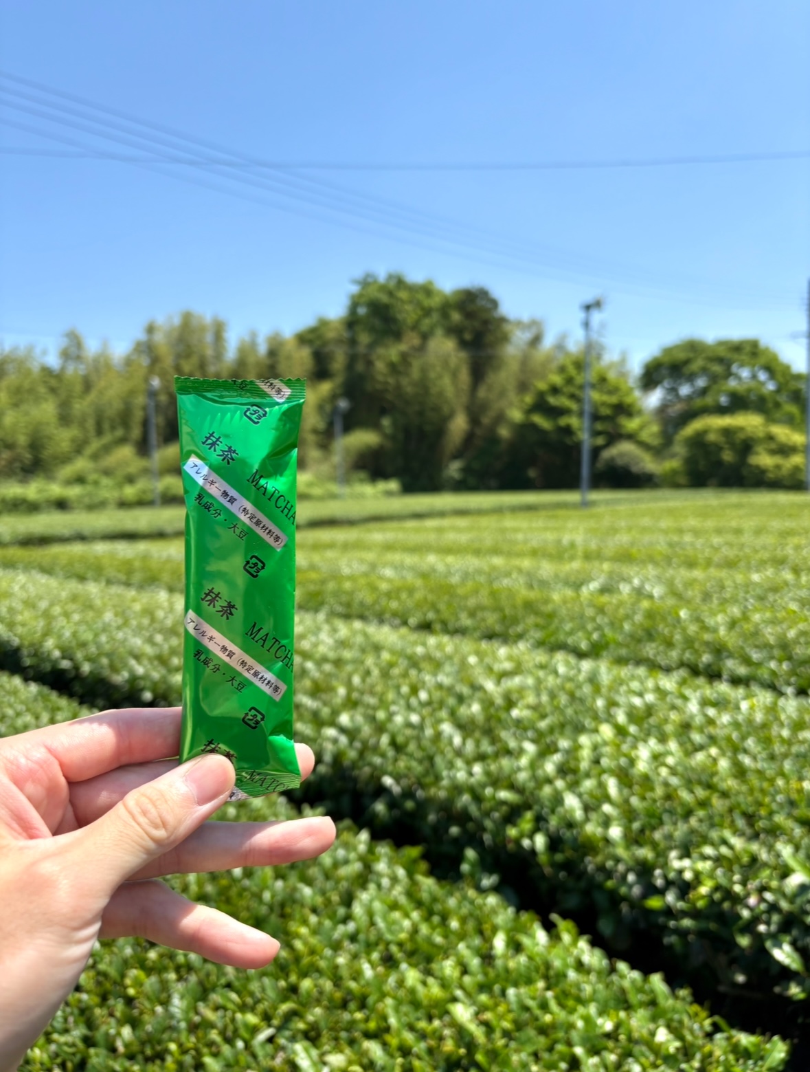 泡立つ抹茶ラテ　[1本]